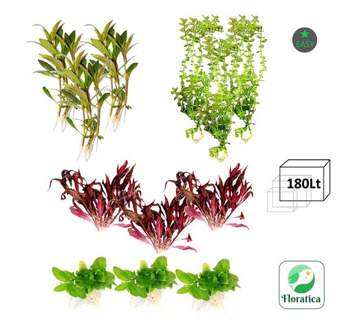Starting mixed bundle 180lt - starting,