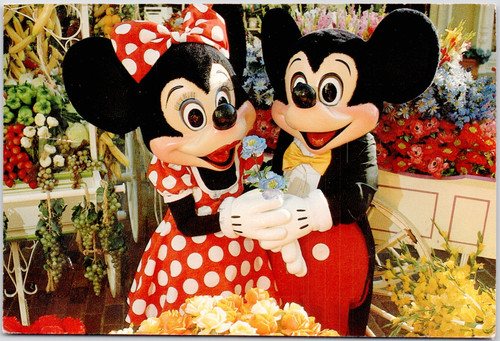 Walt disney world mickey - disney,