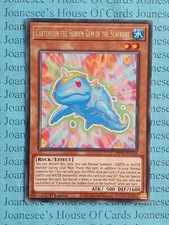 Cartorhyn the Hidden Gem of