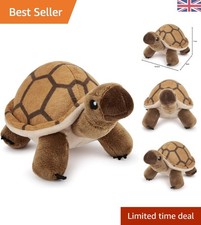 Zappi tortoise plush toy - co,