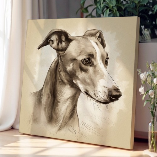 Whippet drawing canvas - whippet, wall