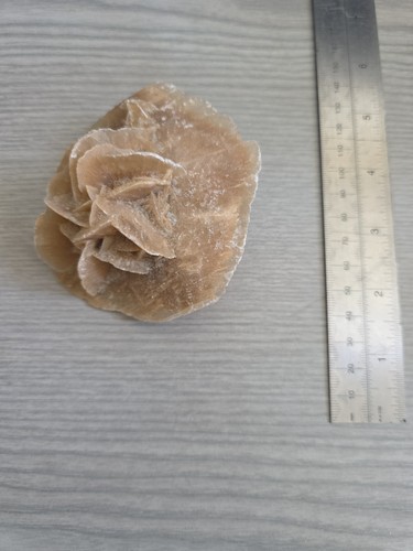 Desert rose gypsum - desert,