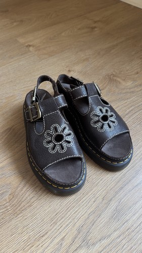 Martens dunnet flower - dunnet, brown