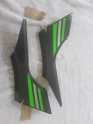 Kawasaki 300 ninja - kawasaki, ex