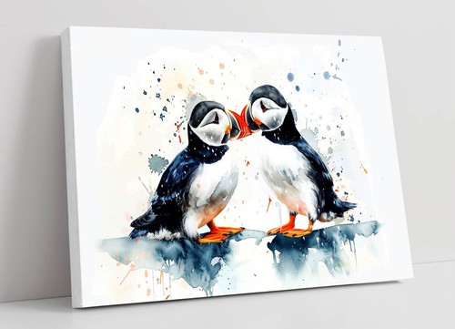 Cute couple puffins kissing - couple, of
