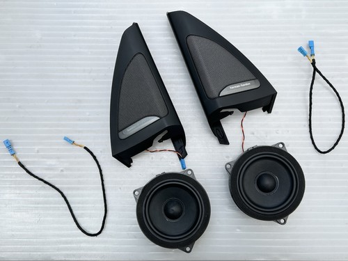 Bmw g05 f95 - x5, kardon