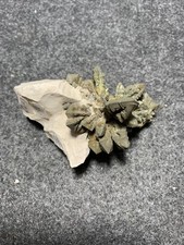 Marcasite, pit Teutonia I