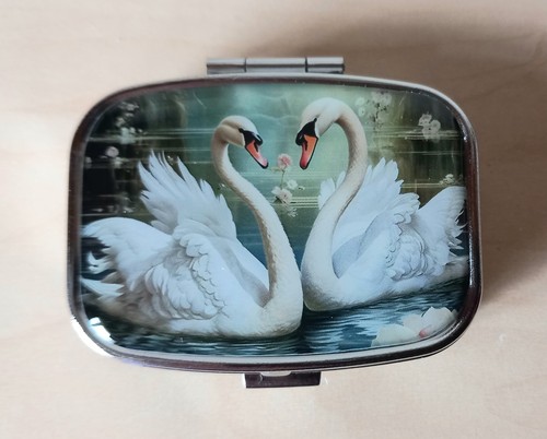 Gorgeous swan birds two - swan,