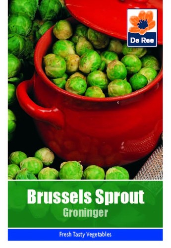 Ree fruit vegetable seeds - fruit,