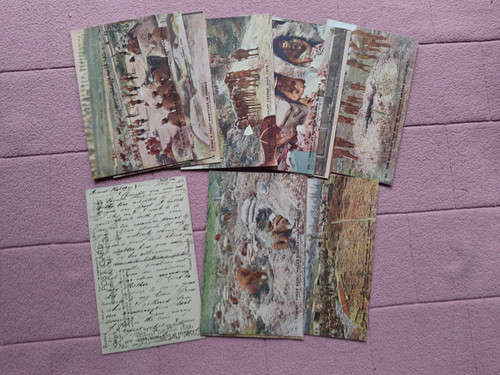 Postcards x daily mail - 16,