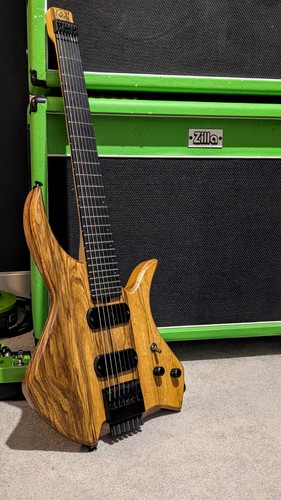 Reiver guitars kompakt - guitars,,