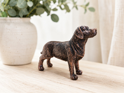 Bronze effect labrador dog - labrador,