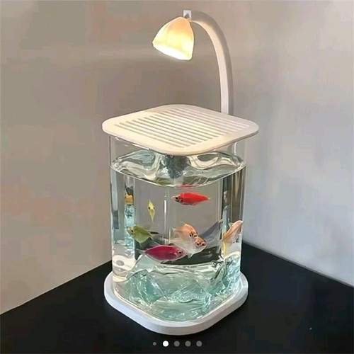 Mini desktop glass aquarium - mini,