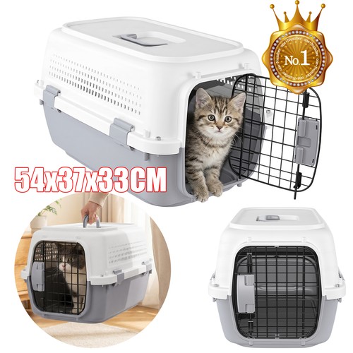 Pet transporter travel - transporter,