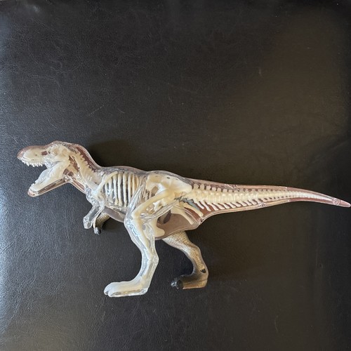 Famemaster vision rex - 4d,