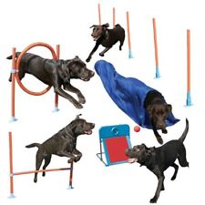 Rosewood Dog Agility Training Hoop Jump Hurdle, Tunnel, Flyball, Slalom Exercise