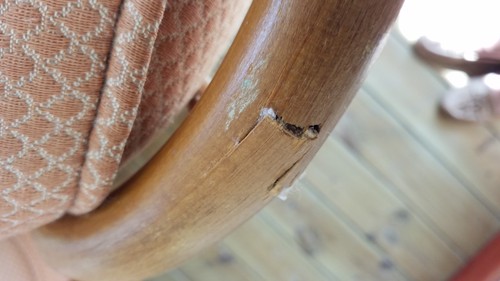 Ercol two seater - , (2)