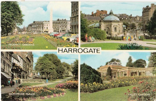 Yorkshire harrogate multi - harrogate,