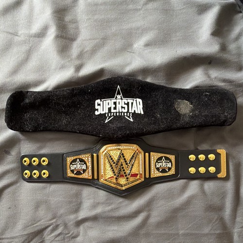 Wwe superstar experience - wwe,