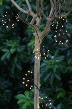 Starburst 150 LED Battery