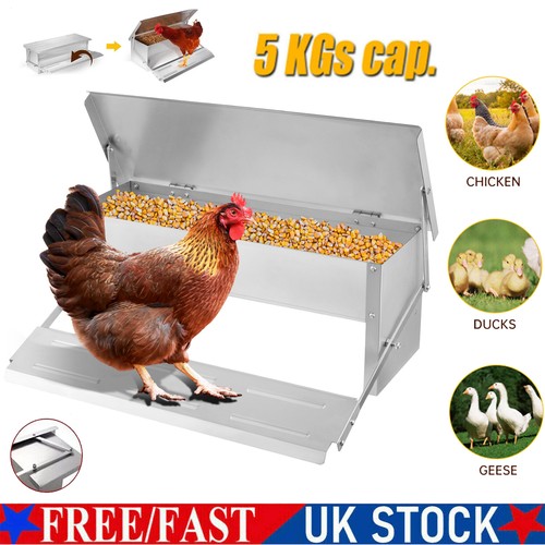 Automatic chicken feeder - automatic,