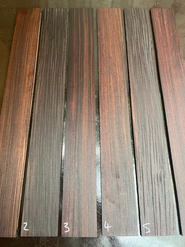 Indian rosewood string bass - indian, 5-string