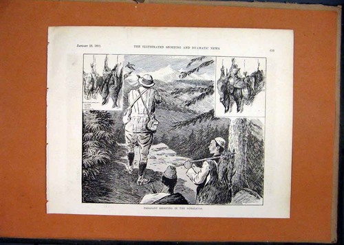 Original old antique print - original,