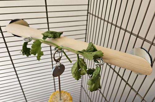 Corner perch hooks - corner,
