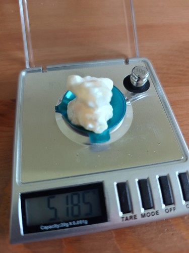 Live milk kefir grains water - kefir,