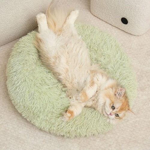 Pet dog cat bed - bed, kitten