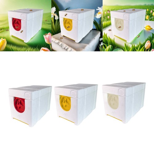 Queen bee breeding - bee, box