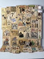 Animals Insects Creatures