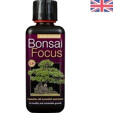 300ml Innovative Bonsai Focus