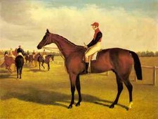 Herring Sr John Frederick Don John The Winner Of The 1838 St Leger With William