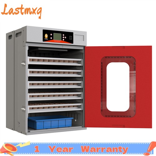 Large commercial automatic egg - automatic,