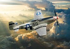 Mustang marinell canvas - p-51,