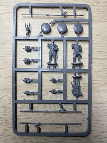 Victrix macedonian - victrix,