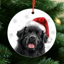 Newfoundland Dog Christmas