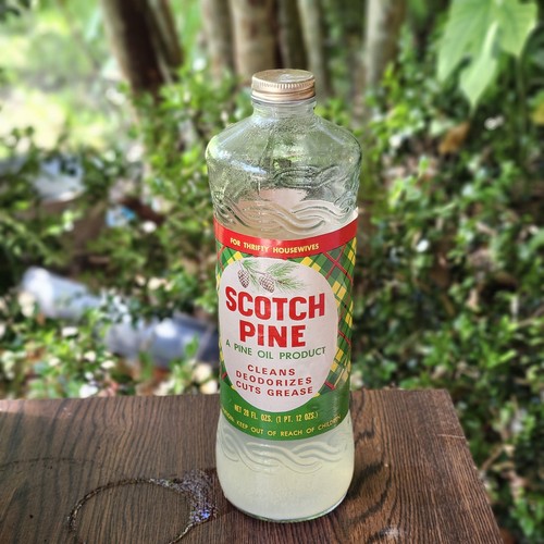 Vintage scotch pine glass - vintage,