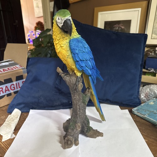 Blue gold macaw - blue,