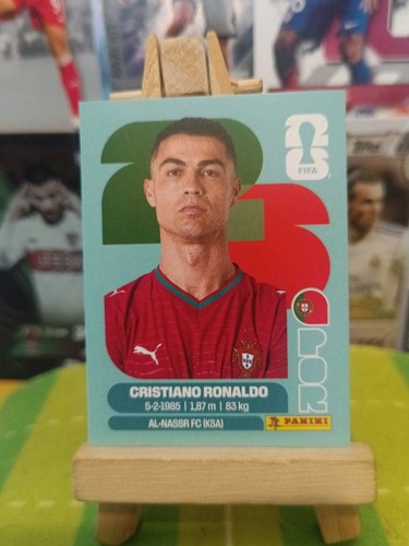 Panini fifa world cup sticker - panini,