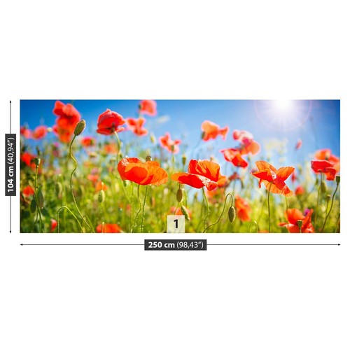 Non woven wall mural - non,
