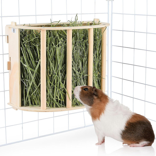 Wooden guinea pig hay - guinea,