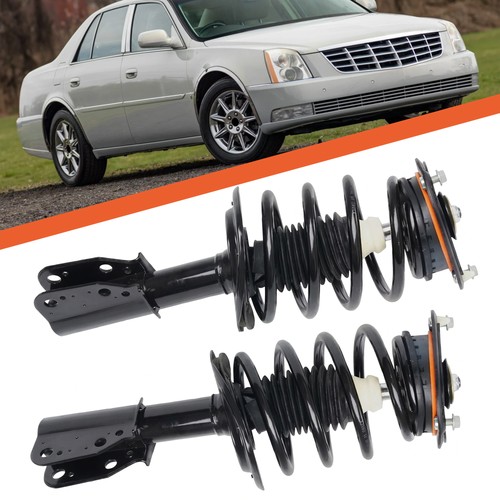Front struts coil spring - coil,