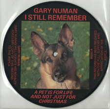 GARY NUMAN i still