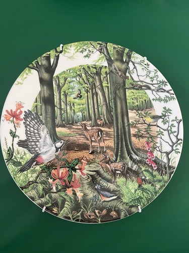 Decorative plate colin - plate,