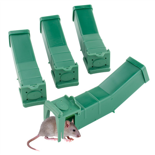 Pack kct humane mouse trap - 4,
