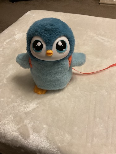 Little live pets walking - live, my