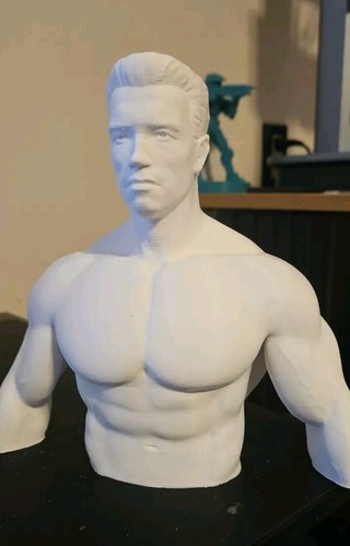 Terminator t800 bust - ,