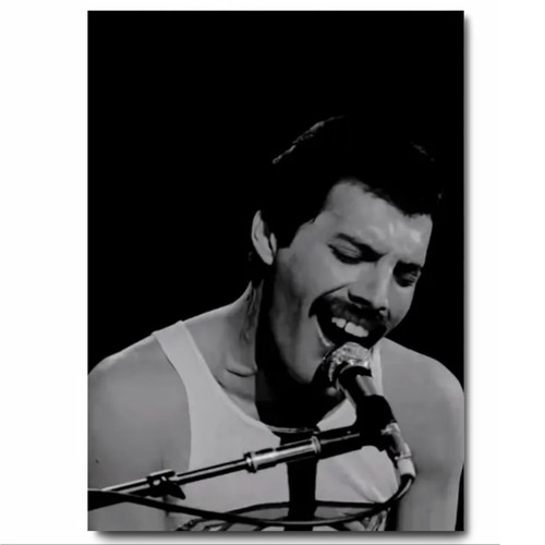 Freddy mercury black and white - black,